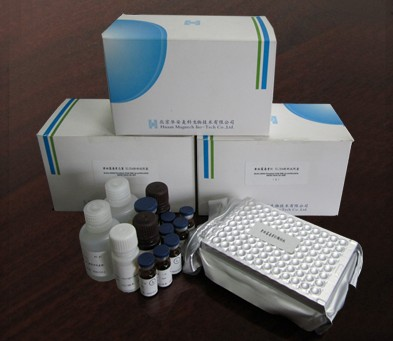人巨噬细胞刺激蛋白（MSP）ELISA检测试剂盒 精准检测的可靠选择